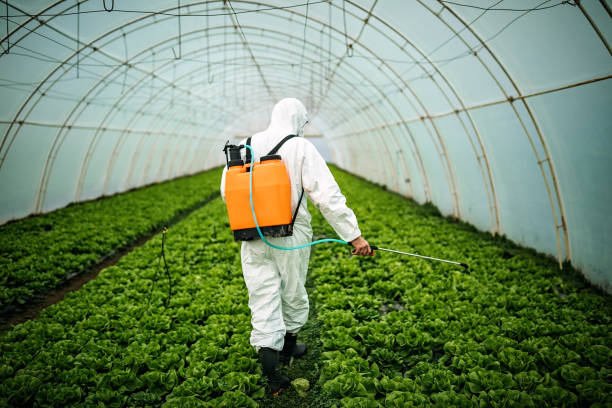 Best Pest Control Treatment  in Lookout Mountain, GA