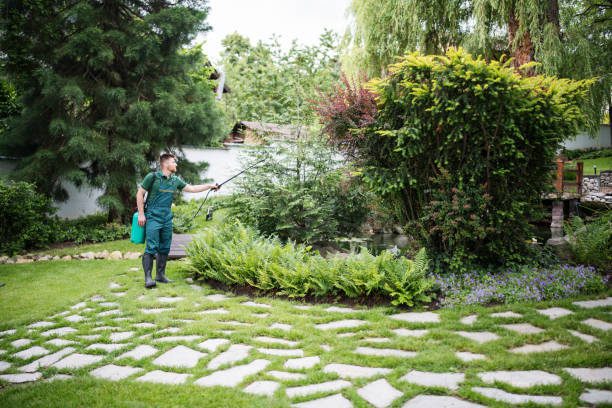 Best Pest Inspection Near Me  in Lookout Mountain, GA