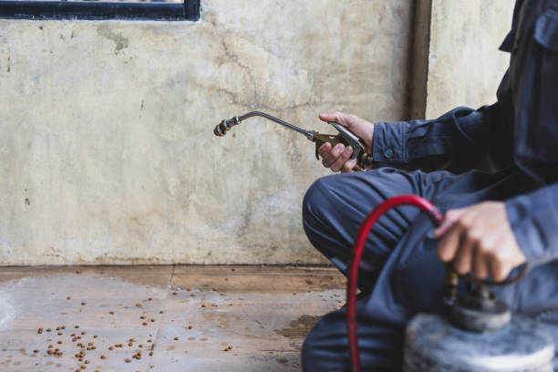 Best Wasp Removal Services  in Lookout Mountain, GA